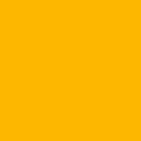 CFS Golden Yellow Pigment WS40006A 5kg