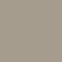 BS08B21  Gazelle Pigment 1kg