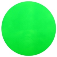 WS34698A Fluorescent Green Pigment 5kg
