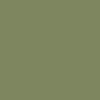 Topfast RAL6013 Reed Green 22kg