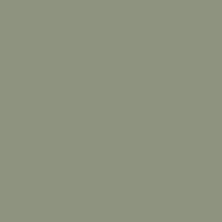 RAL7023 CFS Concrete Grey Pigment WS19448A 5kg