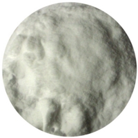 Colloidal Silica 250 gram