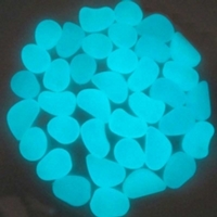 Photo Luminescent Pigment Powder Aquamarine Blue 100g