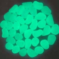 Photo Luminescent Pigment Powder Green 100g